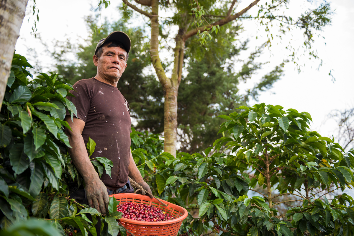 Café | Antigua Guatemala